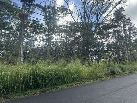 1 Acre of Residential Land for Sale in Pahoa, Hawaii