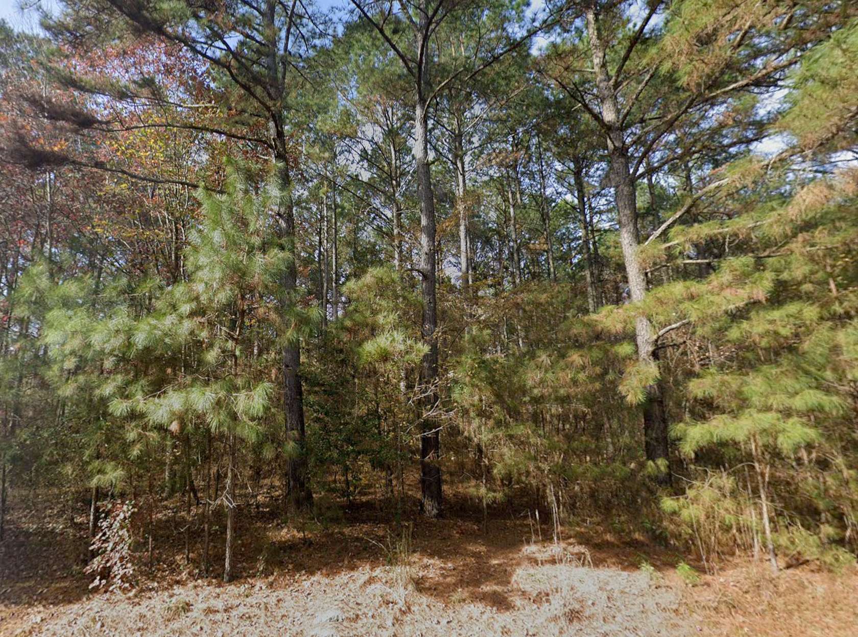 1 Acre of Residential Land for Sale in Hobgood, North Carolina