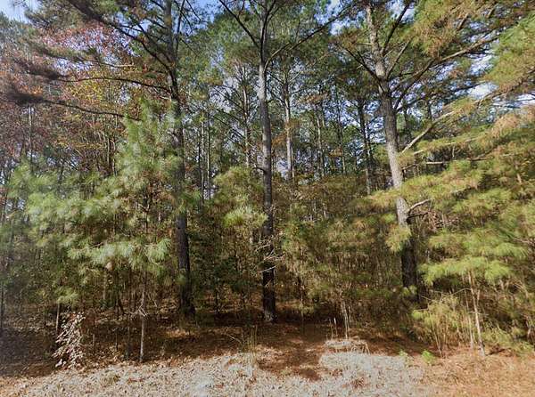 1 Acre of Residential Land for Sale in Hobgood, North Carolina