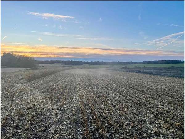 15 Acres of Agricultural Land for Sale in Black Brook Town, Wisconsin