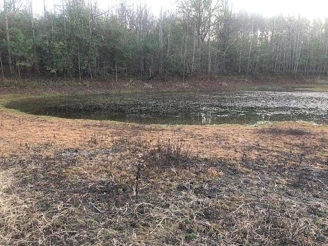 13 Acres of Land with Home for Sale in Nauvoo, Alabama
