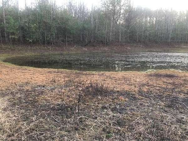13 Acres of Land with Home for Sale in Nauvoo, Alabama