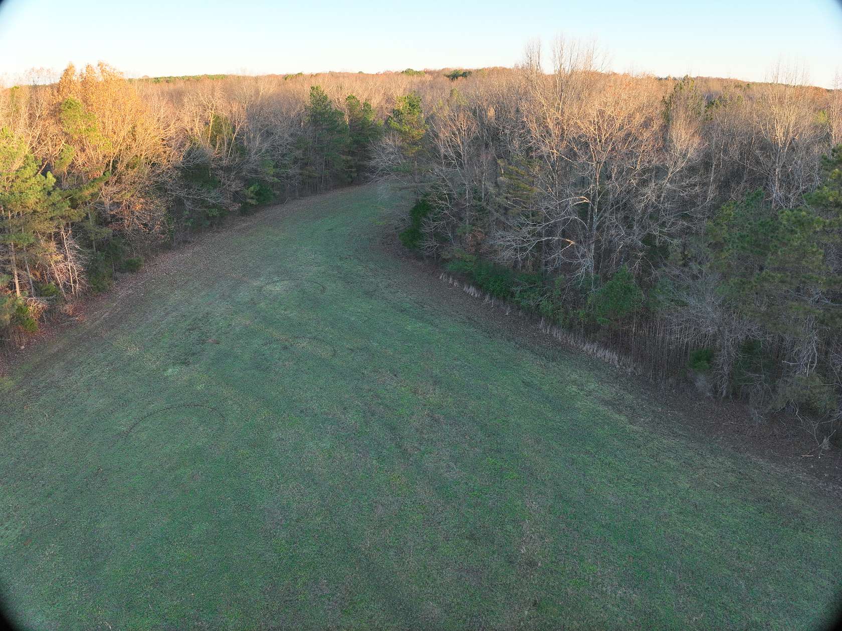 300 Acres of Land for Sale in Whiteville, Tennessee