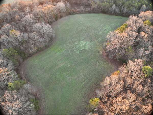 300 Acres of Land for Sale in Whiteville, Tennessee