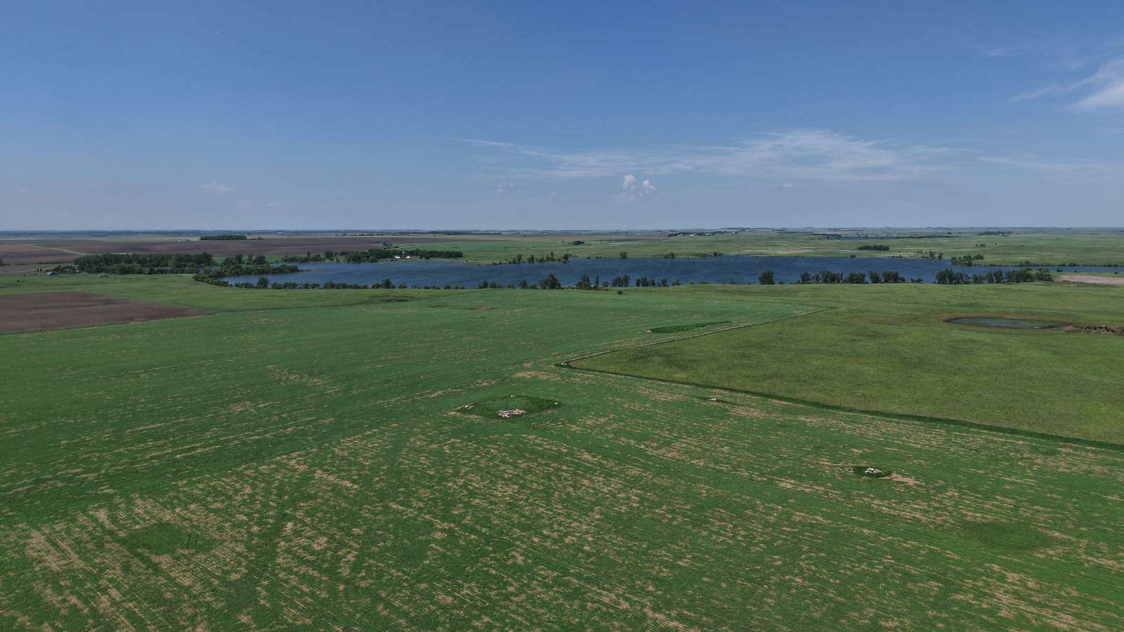120 Acres of Land for Sale in Sisseton, South Dakota