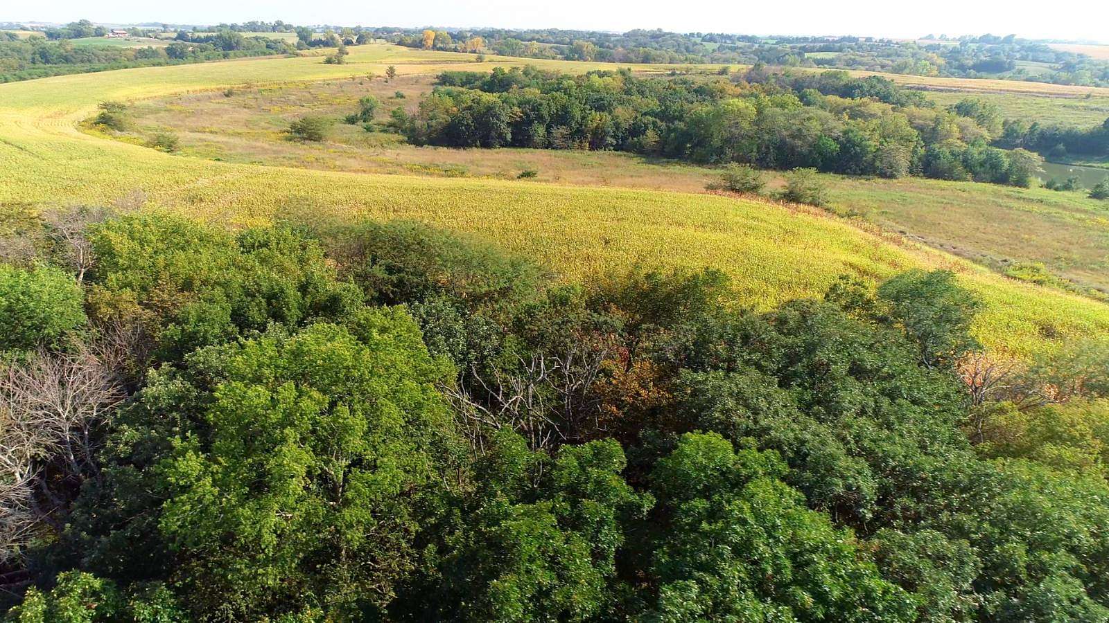 272 Acres of Land for Sale in Bedford, Iowa