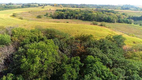 272 Acres of Land for Sale in Bedford, Iowa