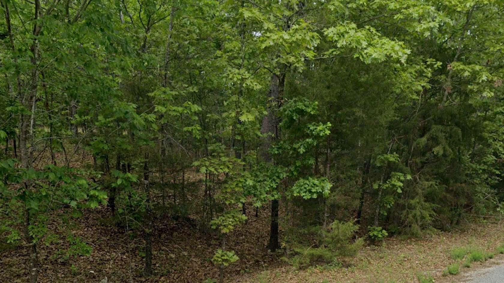 0.33 Acres of Residential Land for Sale in Horseshoe Bend, Arkansas