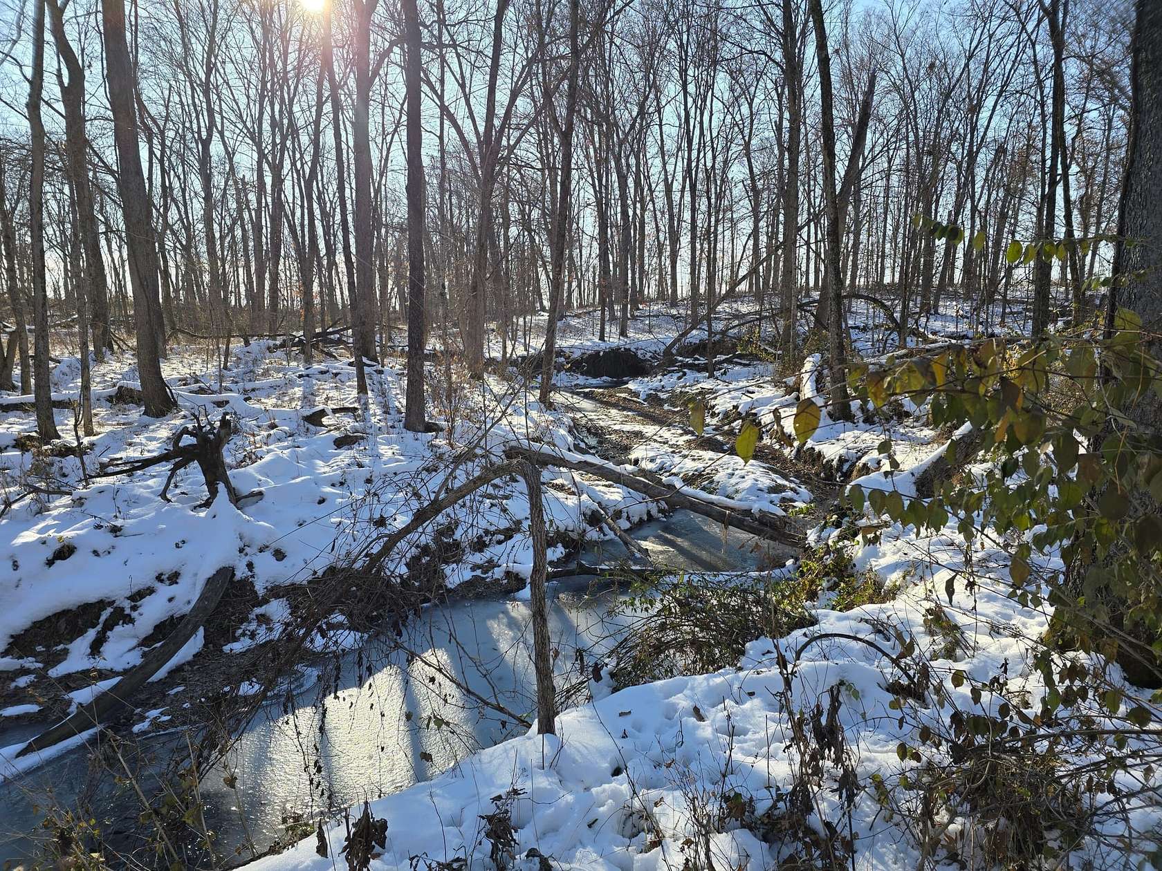 25 Acres of Recreational Land for Sale in Herrick, Illinois