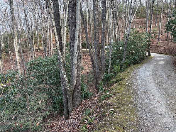 1 Acre of Residential Land for Sale in Topton, North Carolina
