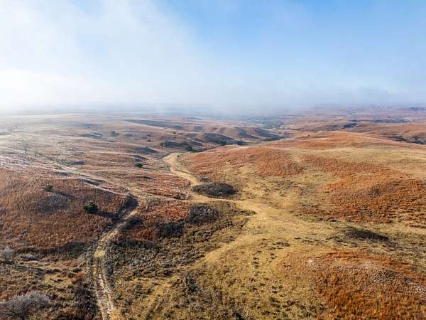 320 Acres of Recreational Land & Farm for Sale in Shattuck, Oklahoma