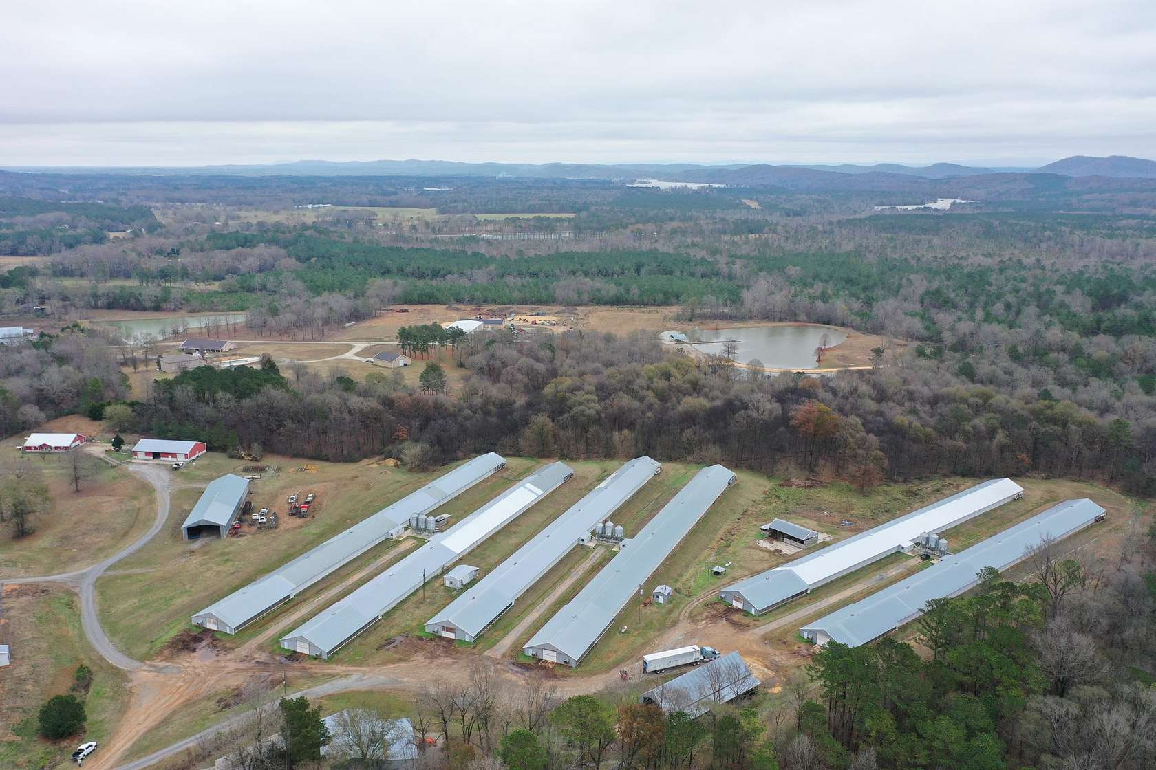 20 Acres of Agricultural Land for Sale in Ashville, Alabama