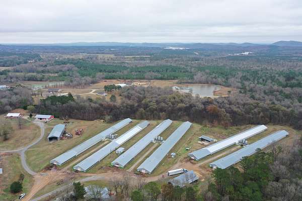 20 Acres of Agricultural Land for Sale in Ashville, Alabama
