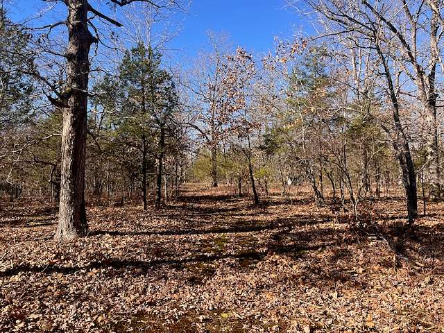 80 Acres of Land for Sale in Mountain View, Arkansas