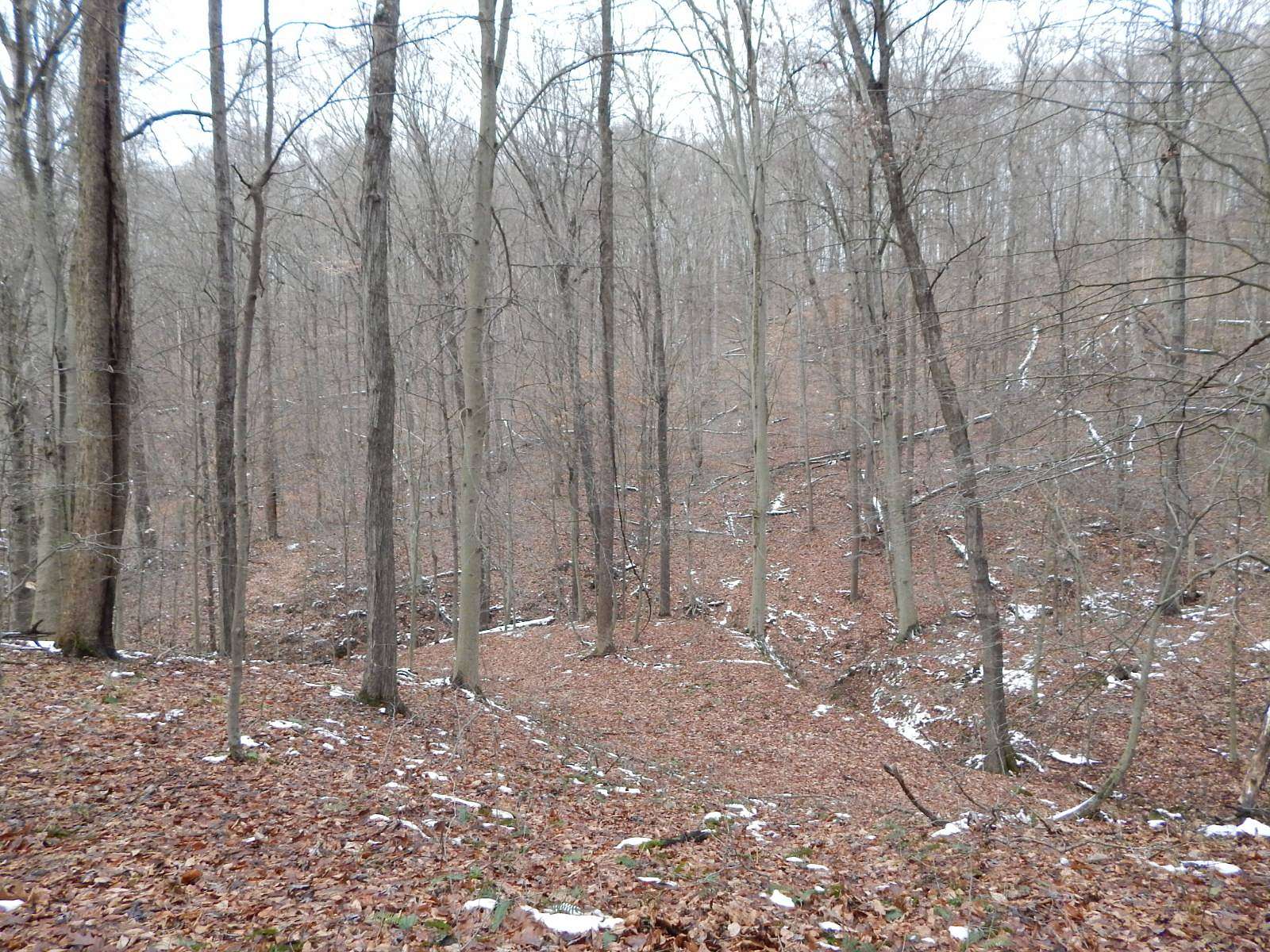 81 Acres of Recreational Land for Sale in St. Marys, West Virginia