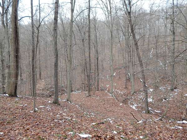 81 Acres of Recreational Land for Sale in St. Marys, West Virginia
