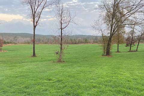 250 Acres of Recreational Land for Sale in Fayette, Alabama