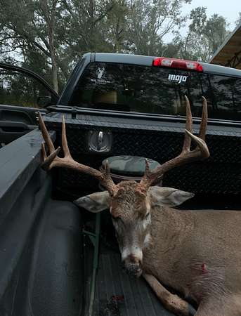 29.7 Acres of Land for Sale in Climax, Georgia