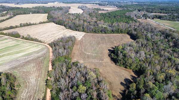 24 Acres of Land for Sale in Notasulga, Alabama
