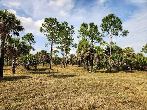 5 Acres of Land for Sale in Naples, Florida