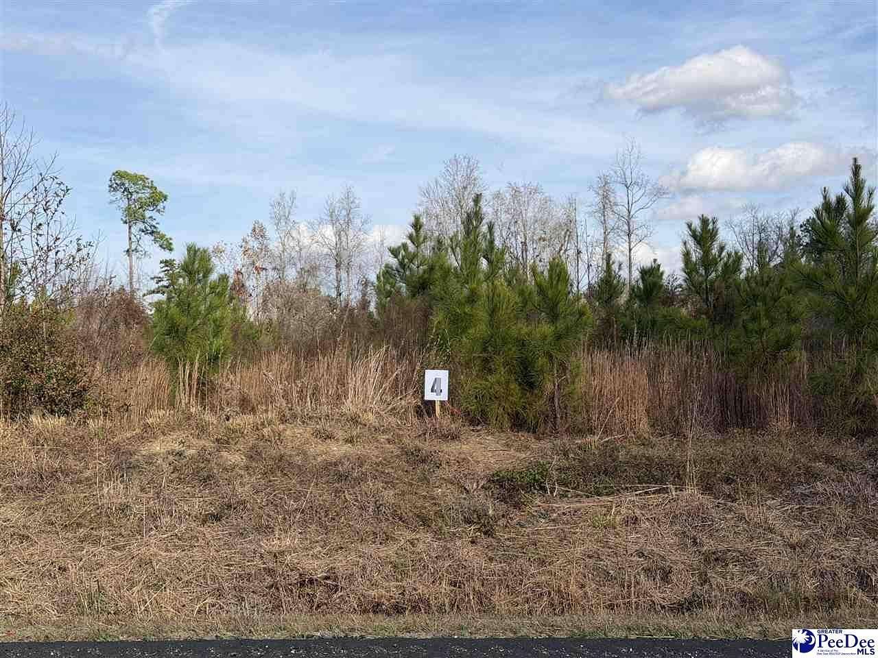 0.72 Acres of Residential Land for Sale in Latta, South Carolina
