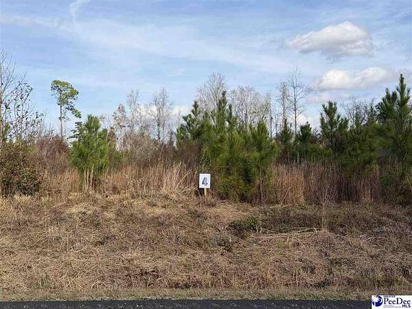0.72 Acres of Residential Land for Sale in Latta, South Carolina
