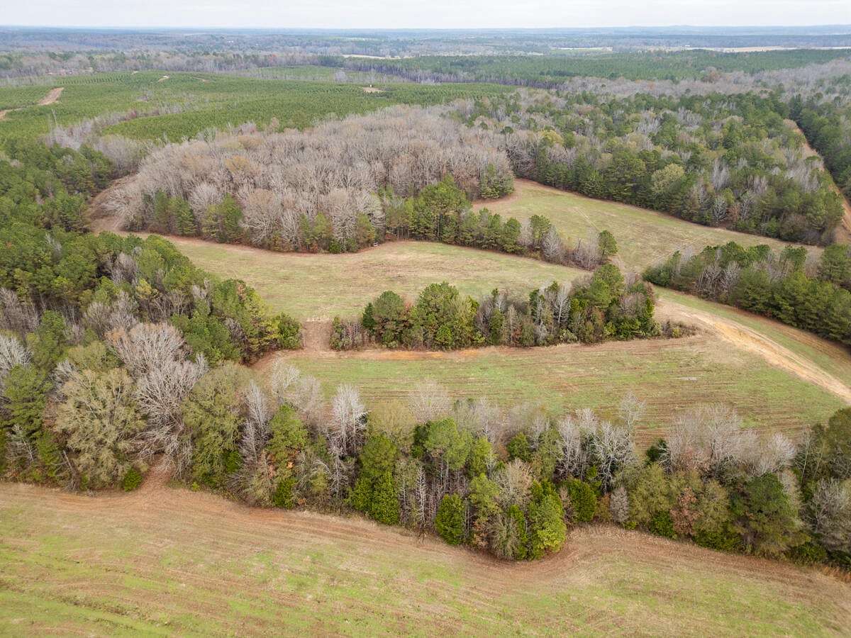 74 Acres of Land for Sale in Mantee, Mississippi