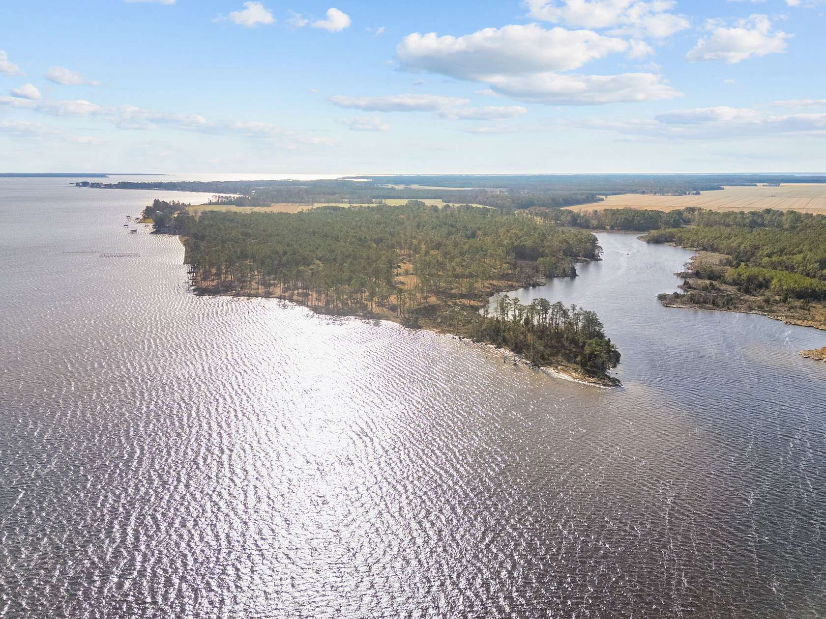 112 Acres of Land for Sale in Belhaven, North Carolina