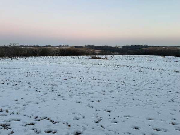 118 Acres of Agricultural Land for Sale in Glenwood, Iowa