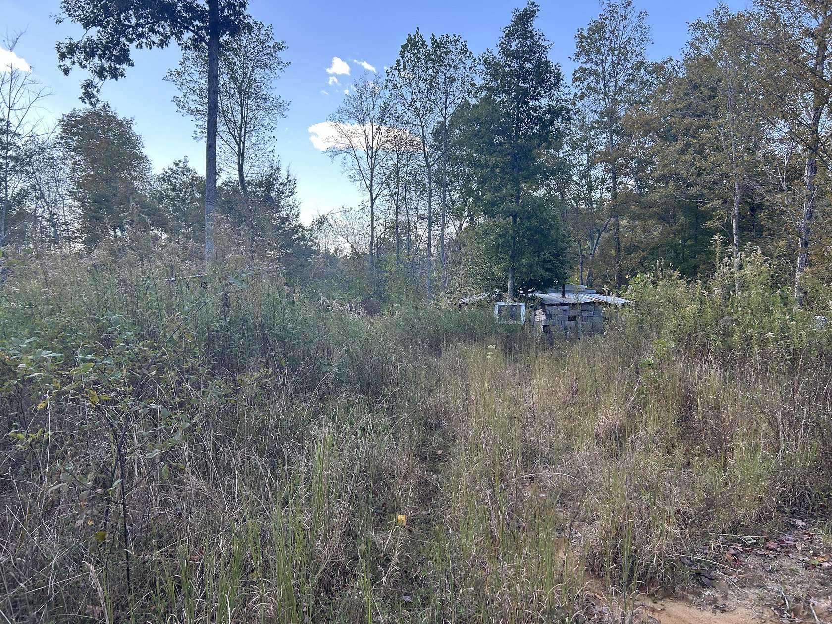 5 Acres of Land for Sale in Cumberland City, Tennessee