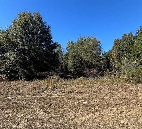 1.13 Acres of Residential Land for Sale in Old Town, Florida