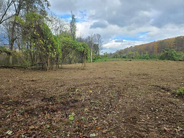 22.5 Acres of Land for Sale in Spring City, Tennessee