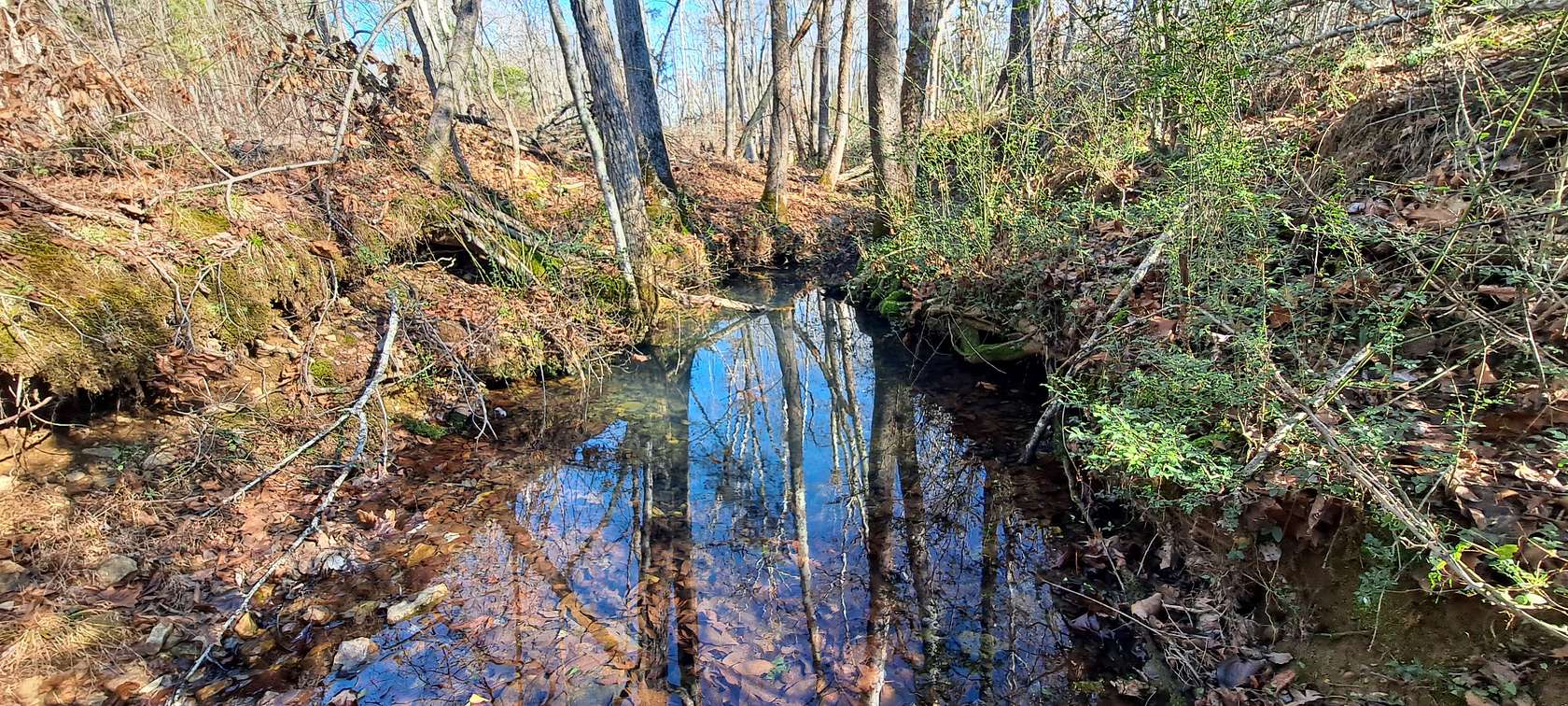 97.7 Acres of Recreational Land & Farm for Sale in Dickson, Tennessee