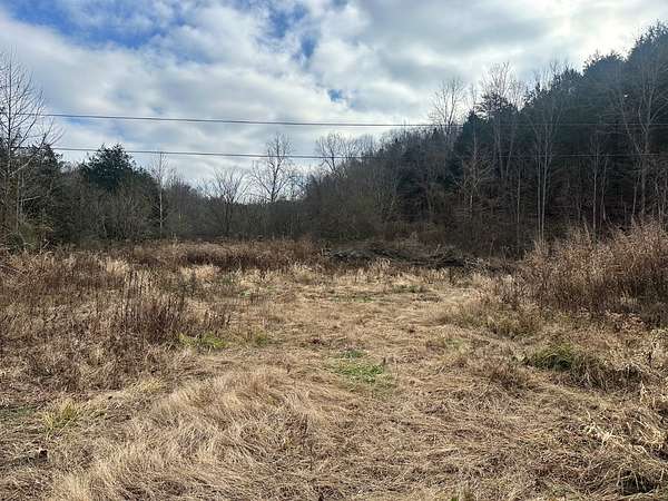 109 Acres of Recreational Land & Farm for Sale in Burkesville, Kentucky