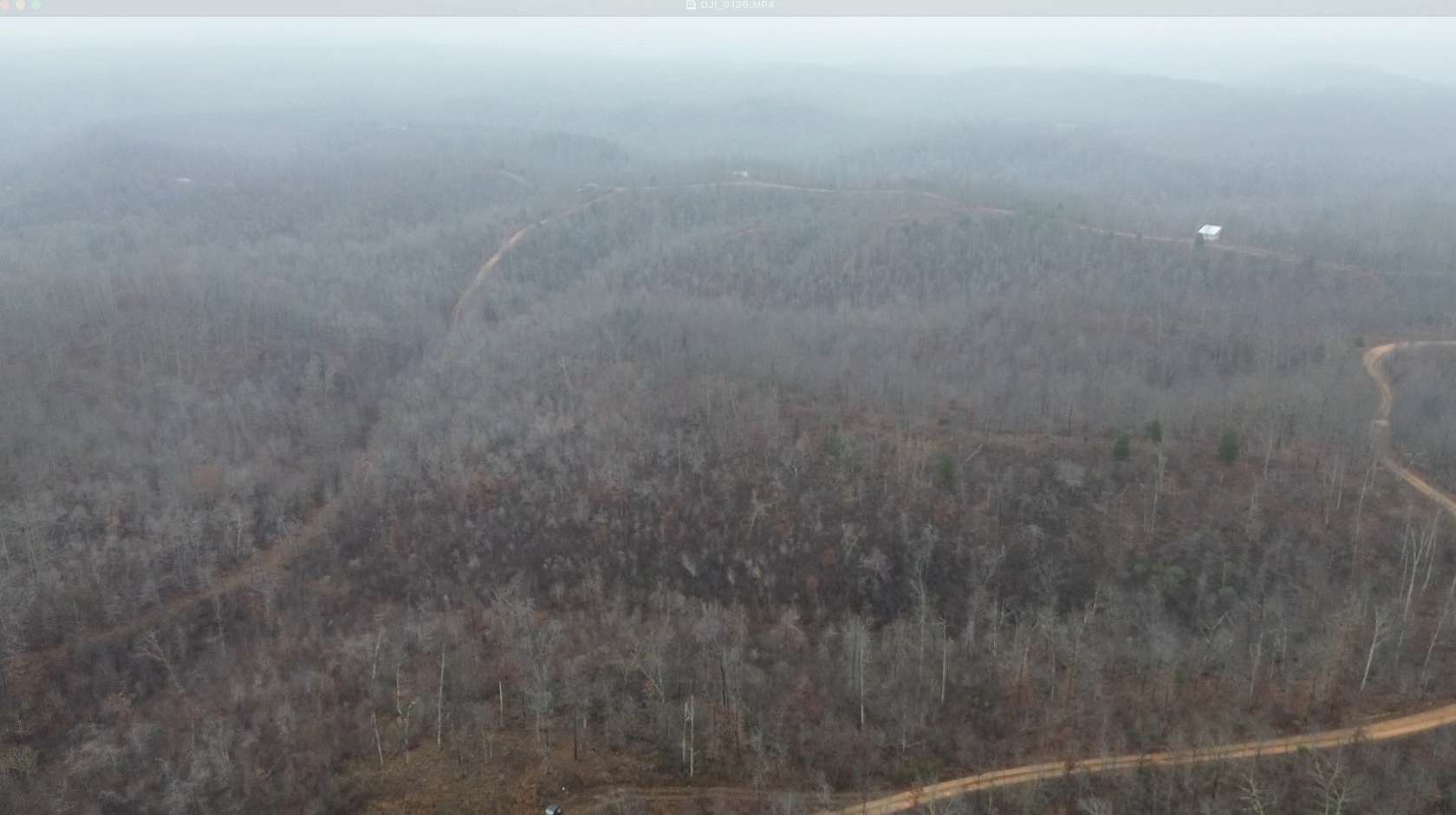 15 Acres of Land for Sale in Lobelville, Tennessee