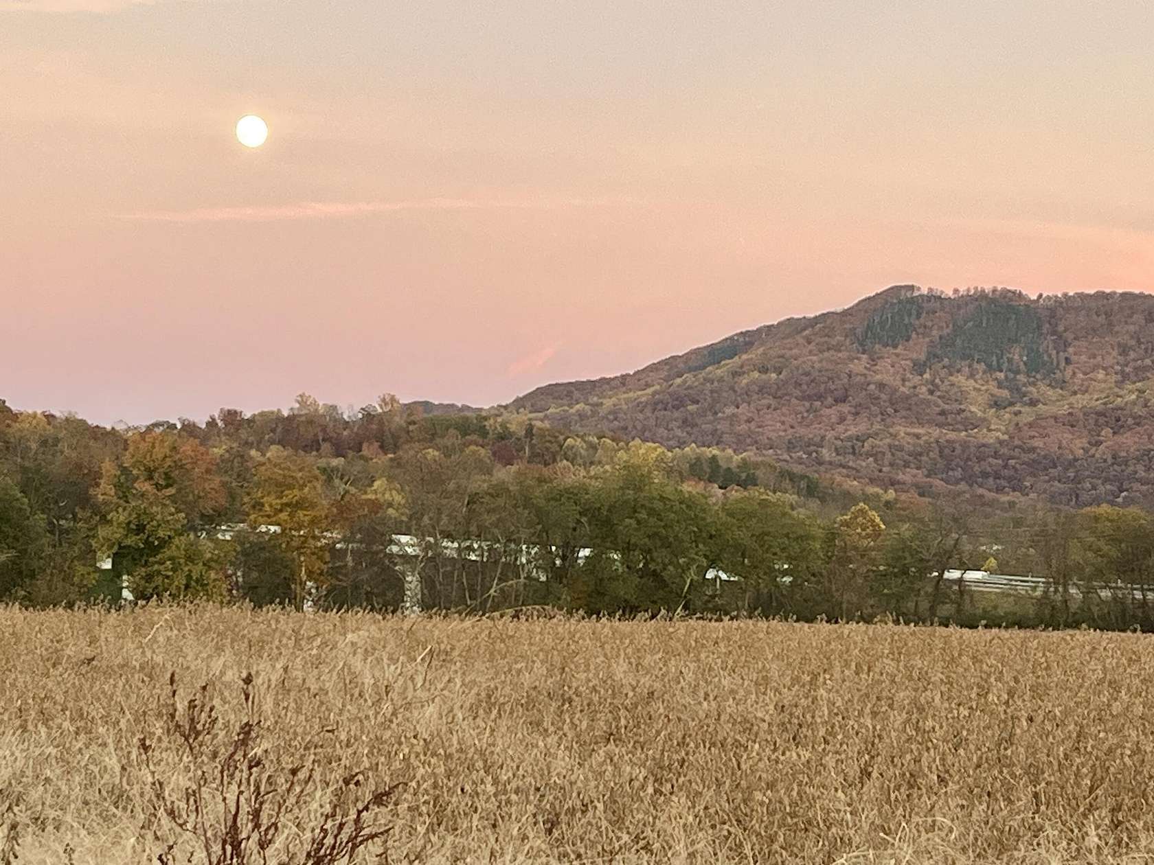 17 Acres of Recreational Land & Farm for Sale in Newport, Tennessee