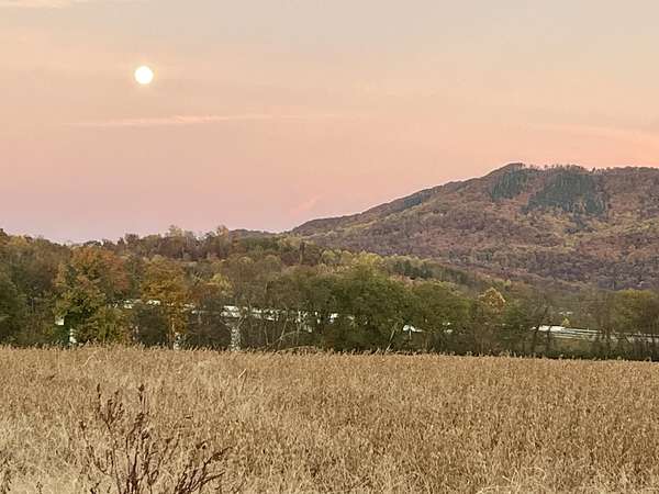 17 Acres of Recreational Land & Farm for Sale in Newport, Tennessee