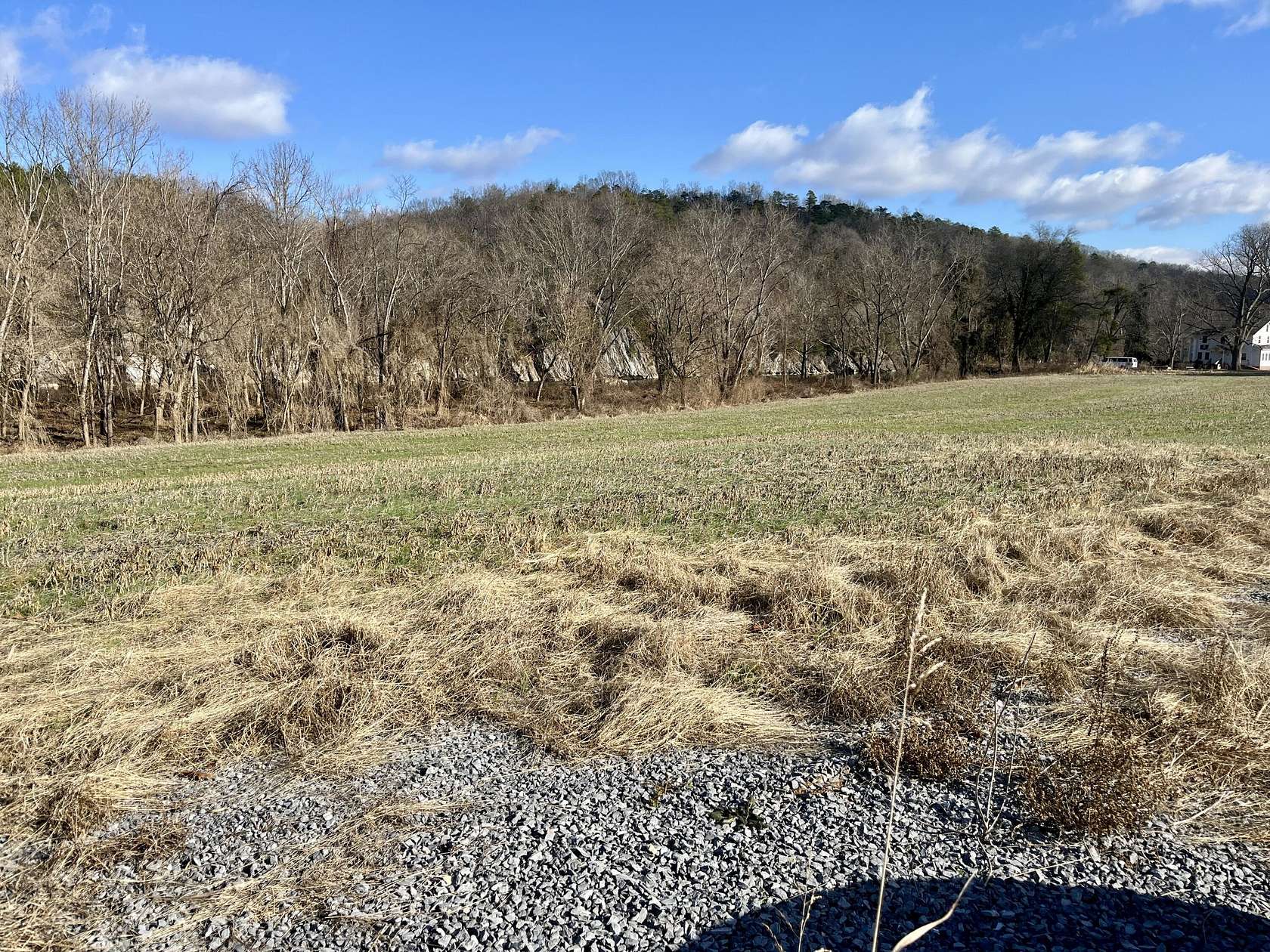 15 Acres of Land for Sale in Newport, Tennessee