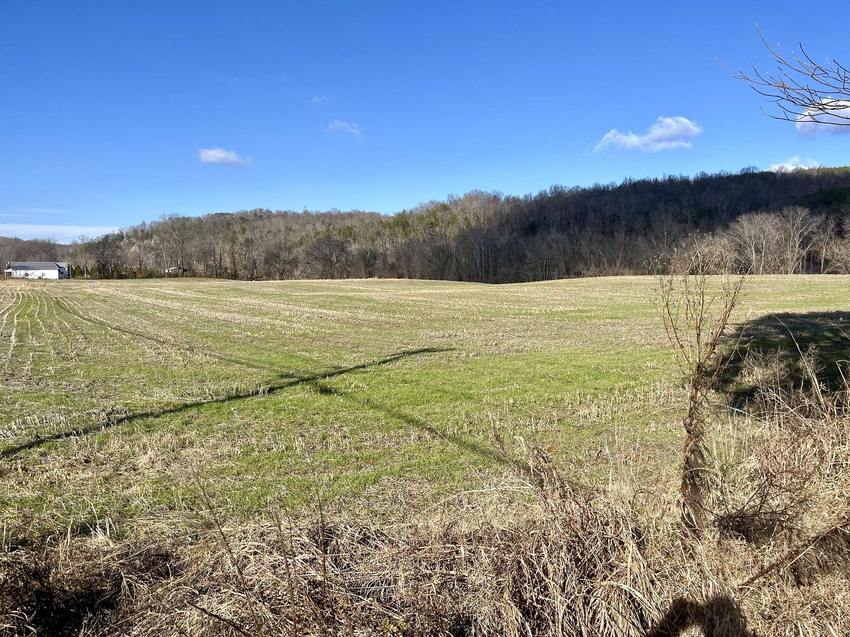 15 Acres of Land for Sale in Newport, Tennessee