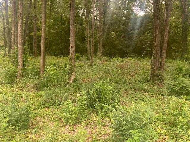 2.9 Acres of Commercial Land for Sale in Waynesboro, Mississippi