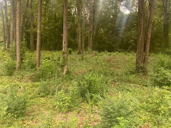 2.9 Acres of Commercial Land for Sale in Waynesboro, Mississippi
