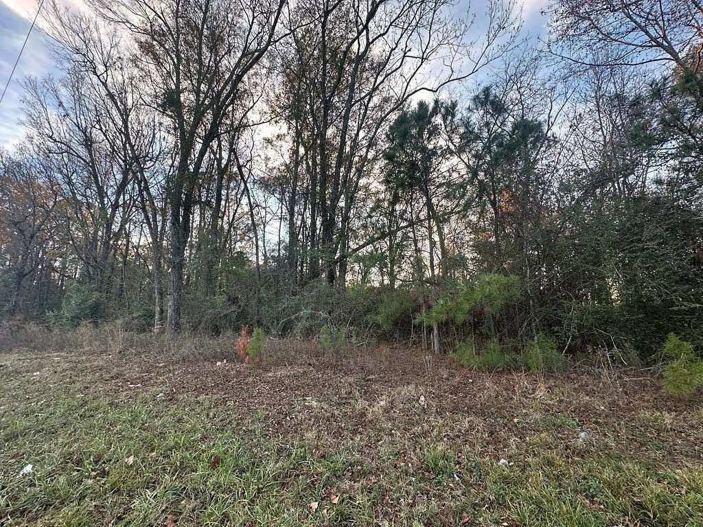 3 Acres of Land for Sale in Brundidge, Alabama