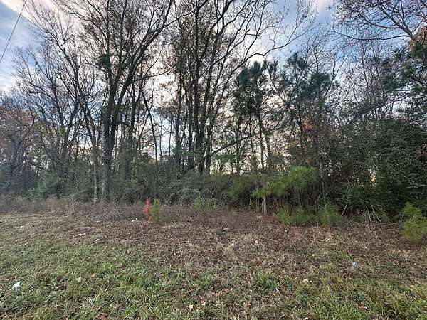 3 Acres of Land for Sale in Brundidge, Alabama