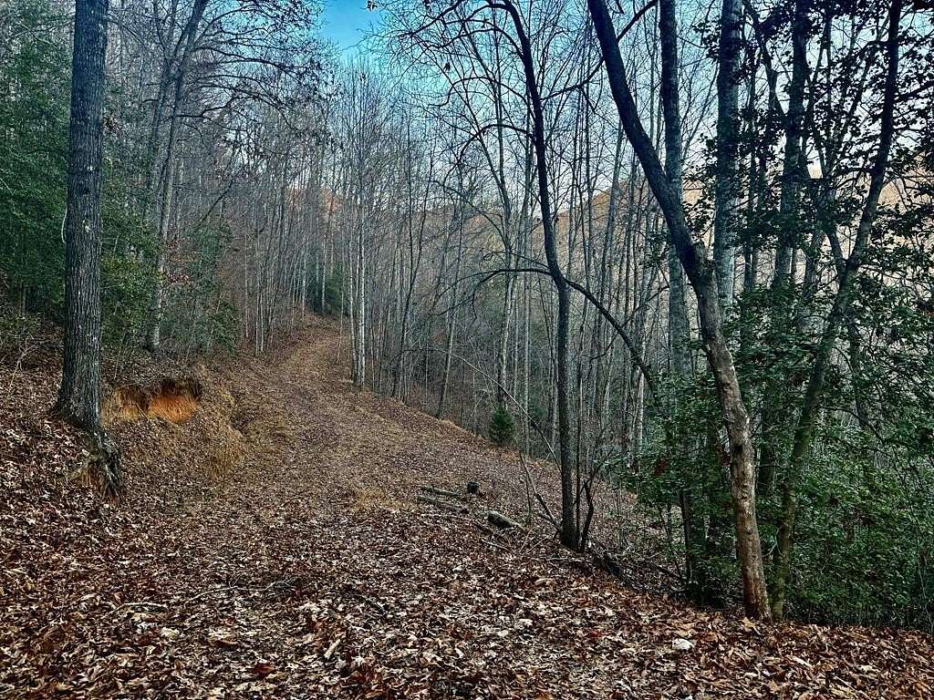 8.17 Acres of Residential Land for Sale in Franklin, North Carolina