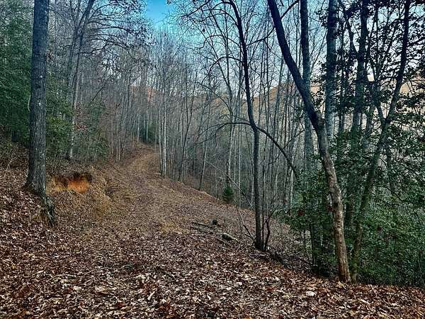 8.17 Acres of Residential Land for Sale in Franklin, North Carolina