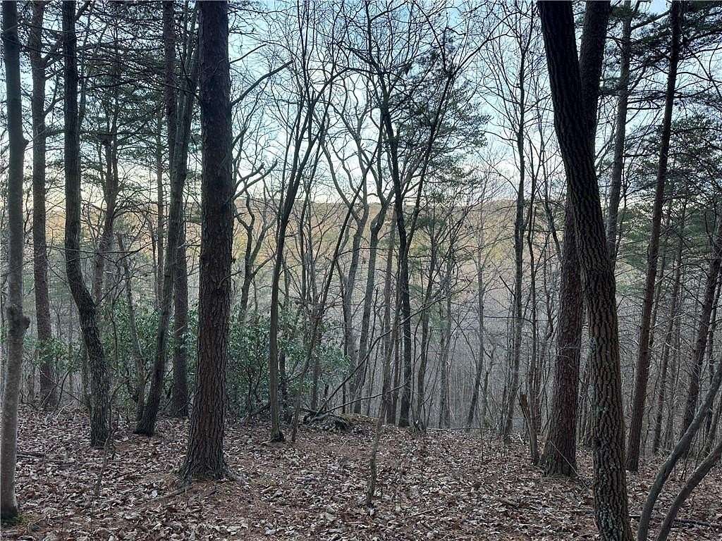 16 Acres of Land for Sale in Waleska, Georgia