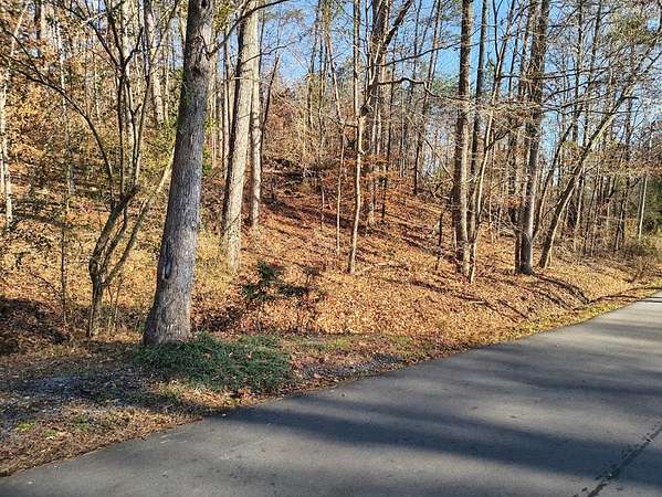 12.6 Acres of Land for Sale in Rocky Face, Georgia