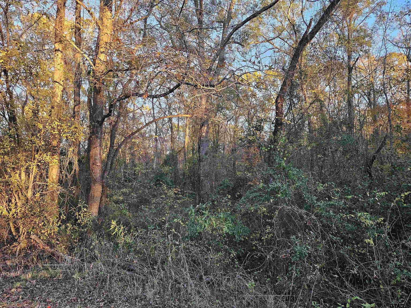 2.2 Acres of Residential Land for Sale in Lindale, Texas