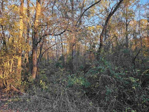 2.2 Acres of Residential Land for Sale in Lindale, Texas