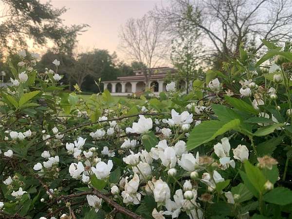 5 Acres of Residential Land with Home for Sale in Athens, Texas